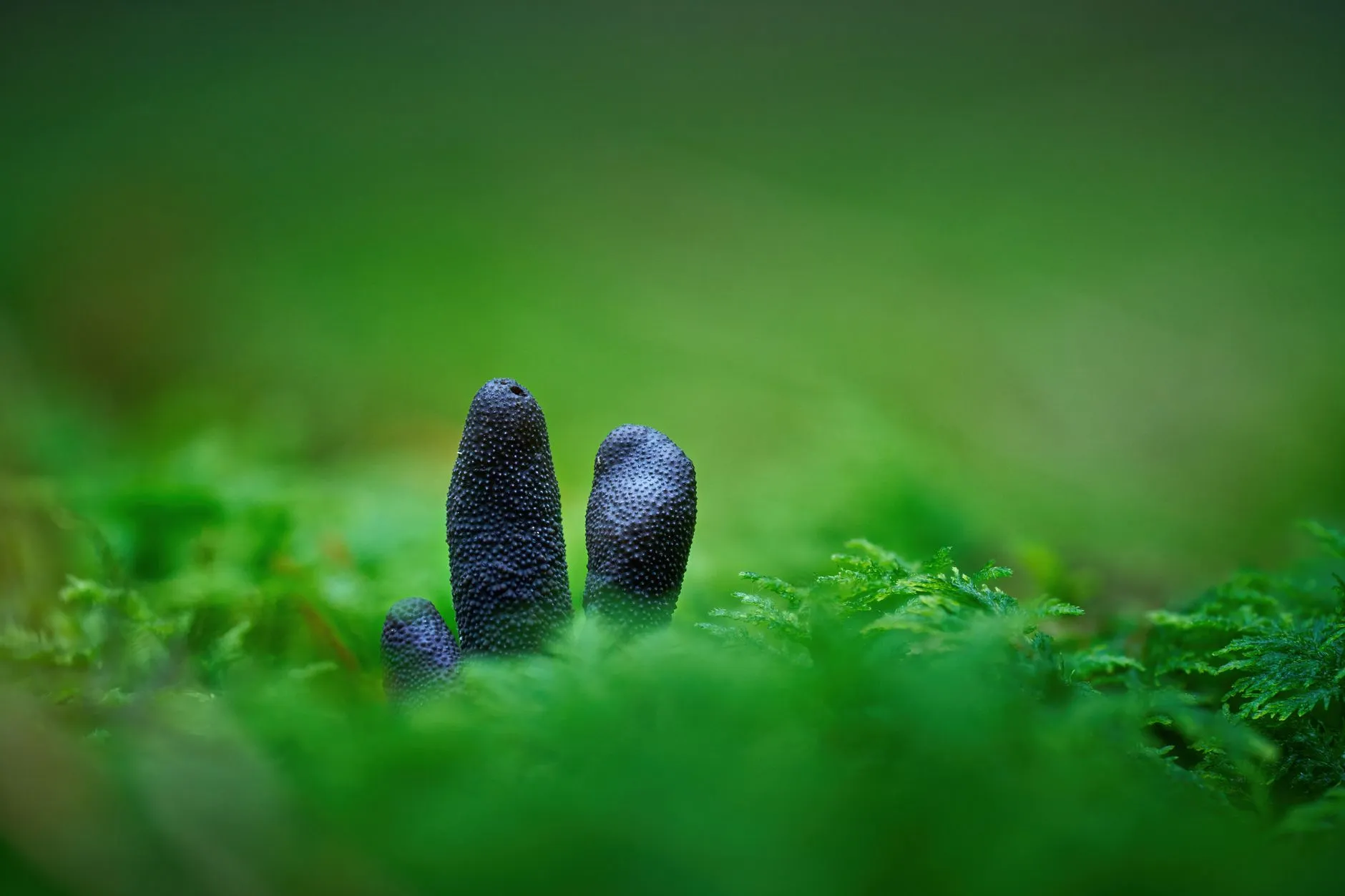 广州家居照明：吸顶灯与筒灯选购要点及节能方案对比