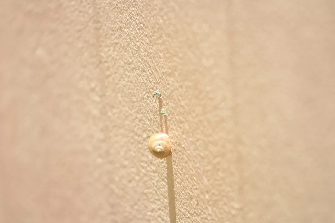 室内照明灯具选购指南：吸顶灯与筒灯在不同空间中的搭配要点正文配图 2